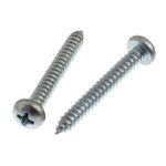 Parafuso_Autoatarraxante_Cabea_Panela_48x38mm_Com_10_Unidades_Bemfixa_99781103JPG