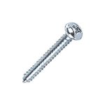 Parafuso_Autoatarraxante_Cabea_Panela_55x50mm_Com_10_Unidades_Bemfixa_99783801jpg