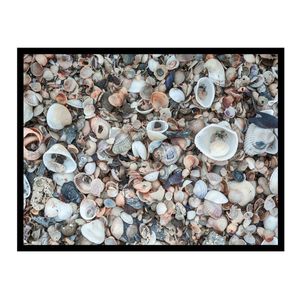 Quadro Com Vidro 65x85cm Conchas Iii Kapos