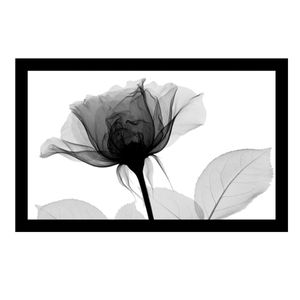 Quadro Com Vidro 35x55cm P&B Flores Iii Kapos