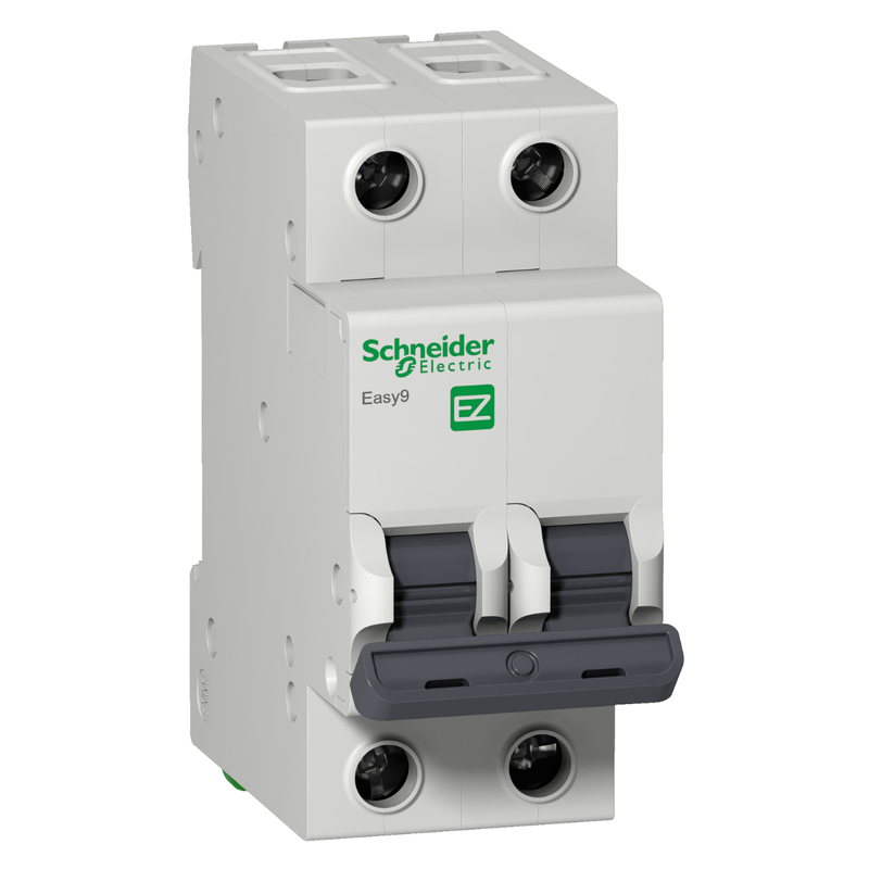 Disjuntor_Easy9_2p_25a_Curva_C_Schneider_102254201png