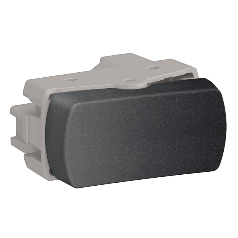 Modulo_Miluz_Interruptor_Paralelo_10a_250v_Grafite_Schneider_103046801png