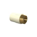 Conector_Cpvc_Aquatherm_22mmx12_Tigre_70016901jpg