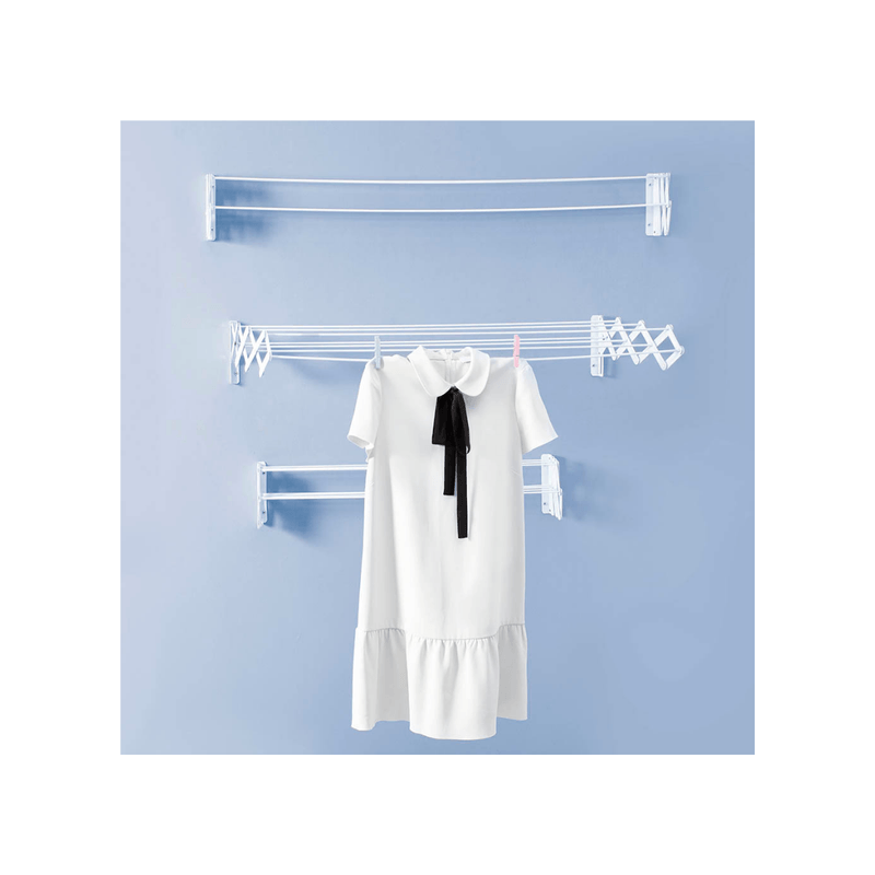 Varal_Sanfonado_Ao__080cm_Mor_79090702png