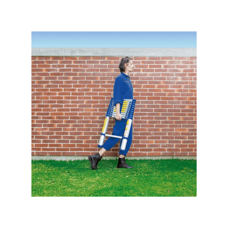 Escada_Alumnio_10_Degraus_5121_Mor_85176003png
