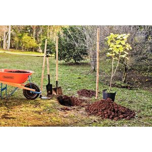 Carrinho De Mão Braço De Madeira E Caçamba Plástica Funda Tramontina