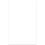 Revestimento_Brilhante_Branco_33cmx59cm_Pei3_Cx202m2_Formigres_102728001jpg
