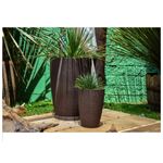 Vaso_Cnico_Moderno_Caf_30_Japi_102048202jpg