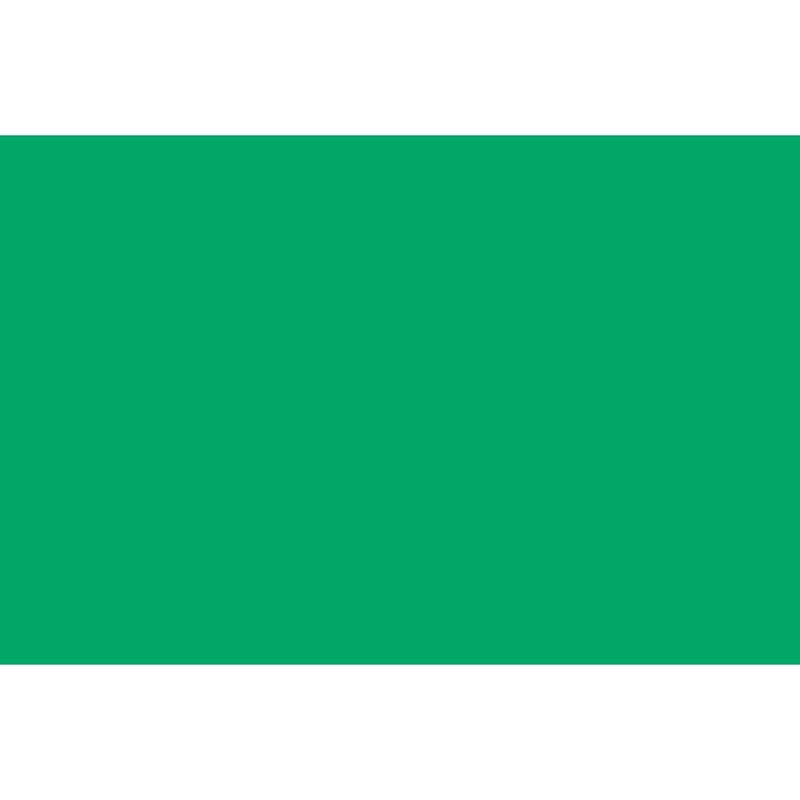 Revestimento_Adesivo_45cmx2m_Opaco_Verde_Plavitec_102673201jpg