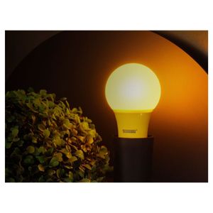 Lâmpada Led Tkl Colors Amarela Taschibra