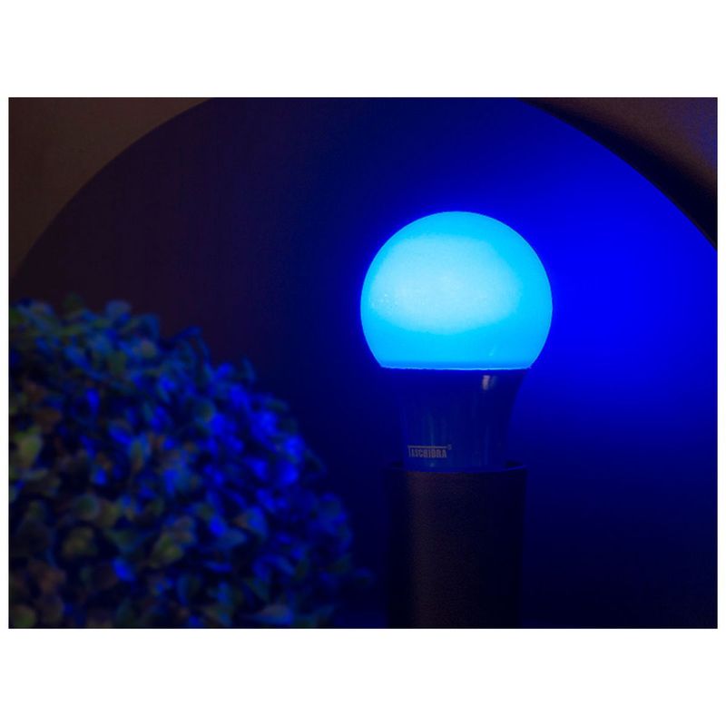 Lmpada_Led_Tkl_Colors_Azul__Taschibra_102028802jpg