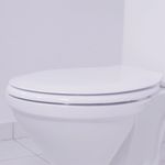 Assento_Sanitrio_Luxo_Branco_Tupan_103534704jpg