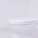 Assento_Sanitrio_Ibiza_Branco_Tupan_103530604jpg