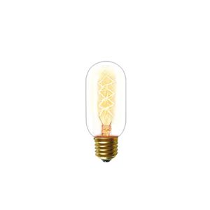 Lâmpada Filamento T45 40w 127v Taschibra