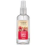 Acqua_Eco_Perfumante_Canela_E_Frutas_140ml_Premisse_103272701jpg