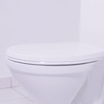 Assento_Sanitrio_Universal_Termofixo_Evolution_Convencional_Branco_Tupan_103535104jpg