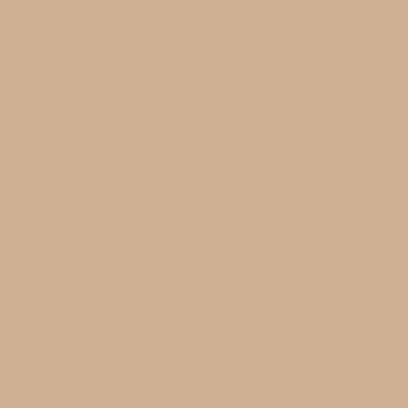 Rejunte_Flexivel_5kg_Cortica_Quartzolit_103144103png