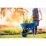 Carrinho_De_Mo_Com_Caamba_Rasa_Metlica_Azul_50l_Brao_Metlico_E_Pneu_Com_Cmara_Tramontina_101858603jpg