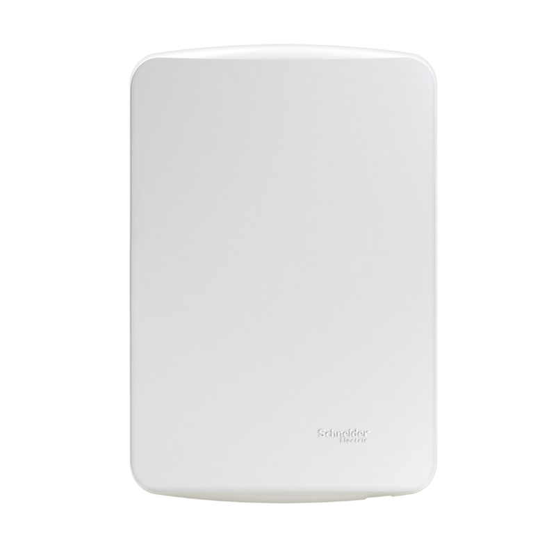 Placa_Miluz_4x2_Cega_Com_Suporte_Schneider_102179701png