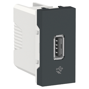 Módulo Orion Carregador Usb 2.0 1a 127/220v 1m Grafite Schneider