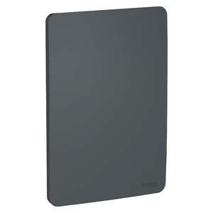 Placa Orion 4x2 Cega Stellar Black Schneider