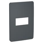 Placa_Orion_4x2_1_Posto_Stellar_Black_Schneider_102640901png