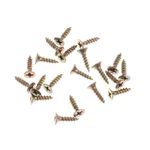 Parafuso_Para_Aglomerado_E_Mdf_Cabea_Chata_30x12mm_Bemfixa_99622002jpg