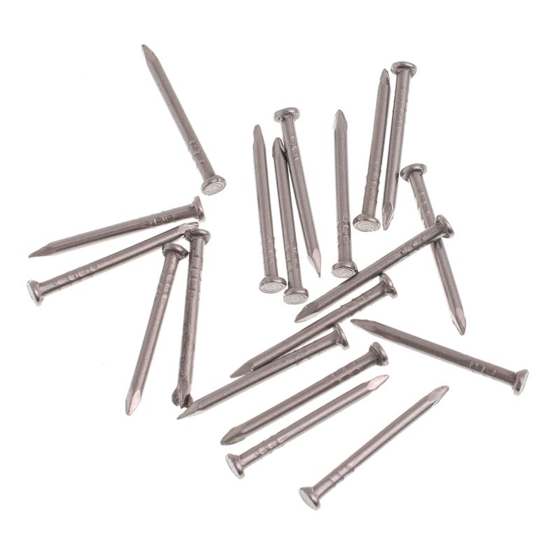 Prego_Inox_Com_Cabea_200x25mm_20_Unidades_Bemfixa_99602502jpg