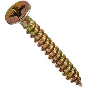 Parafuso Aglomerado Phillips Cabeça Chata 3x12mm 20 Unidades Fixtil