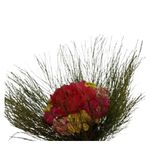 Buque_Sempre_Viva_Pequeno_SR_Flores_102653201jpg