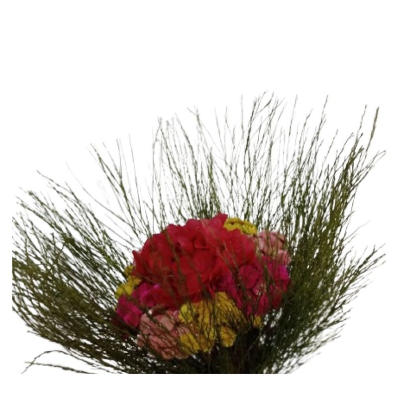 Buque_Sempre_Viva_Pequeno_SR_Flores_102653201jpg