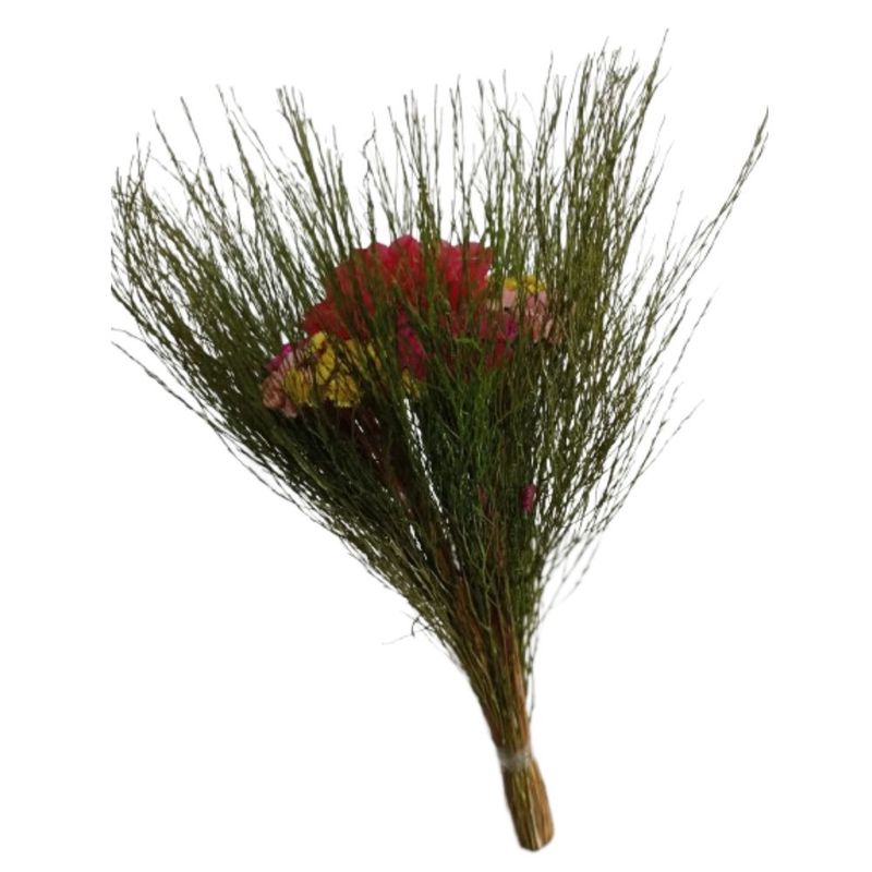 Buque_Sempre_Viva_Pequeno_SR_Flores_102653202jpg