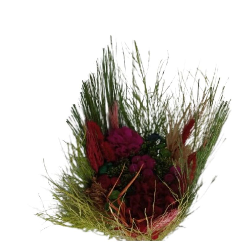 Buque_Silvestre_Mdio_Sortido_SR_Flores_102653302jpg