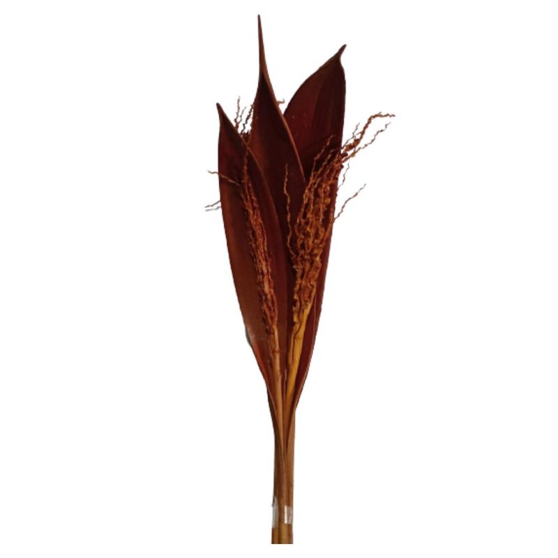 Capa_De_Coco_Laranja_SR_Flores_102648701jpg