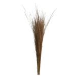 Capim_Brilhante_Natural_SR_Flores_102648301jpg