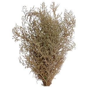Capim Milindro Natural S&R Flores