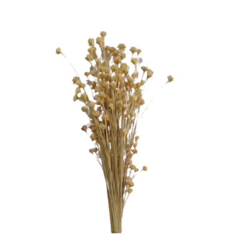 Espeta_Nariz_Alvejado_100g_SR_Flores_102651101jpg