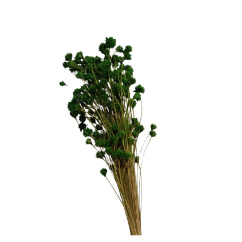 Espeta_Nariz_Verde_Claro_100g_SR_Flores_102651301jpg