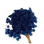 Flor_De_Sempre_Viva_Azul_Escuro_SR_Flores_102649901jpg