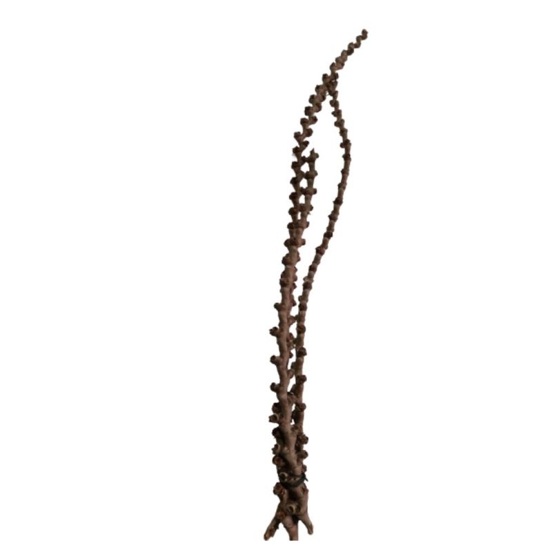 Galho_De_Buriti_Natural_SR_Flores_102648901jpg