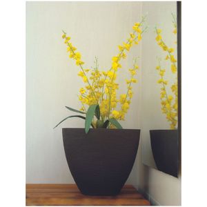 Vaso Innovare 34x30 Piccolo Café Japi