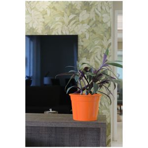 Vaso Alumínio Redondo 8cm Soleil Laranja Japi