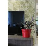 Vaso_Cachep_De_Alumnio_Soleil_Vermelho_Compatvel_Com_Pote_N_15_Japi_102605002jpg