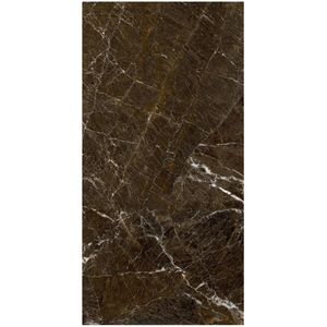 Porcelanato 61x120 Elegant Brown Polido Pr12122 Cx2.20m2 Damme