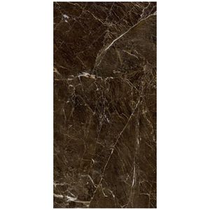 Porcelanato 61x120 Elegant Brown Polido Pr12122 Cx2.20m2 Damme