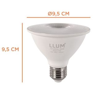 Lâmpada Power Led Par30 12w 6500k Bivolt Bronzearte