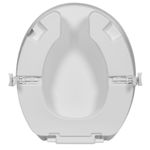 Assento_Elevado_Com_Tampa_E_Trava_75cm_Astra_104310204jpg