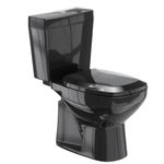 Combo_Completo_Amarilis_BaciaCaixa_Acoplada_36l_Preto_Fiori_104282201jpg