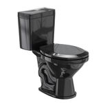 Combo_Completo_Dalia_Bacia_Com_Caixa_Acoplada_Preto_Fiori_104282301jpg