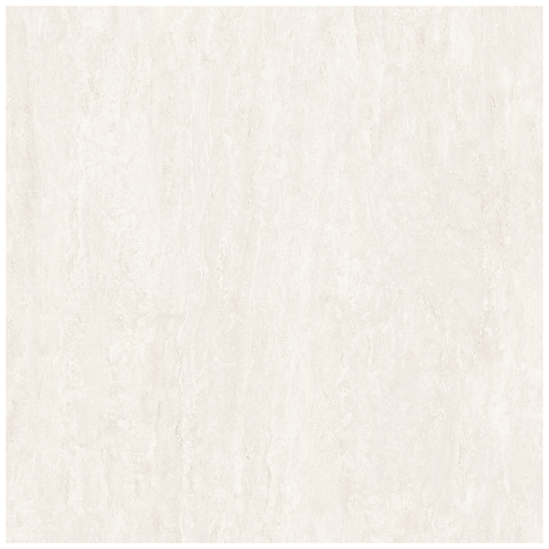 104418706                        .png